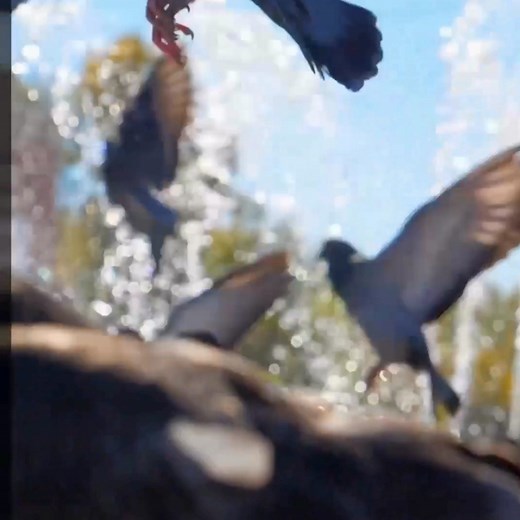 Hear that crunch? That’s your next craving calling. Try 6 wings in Hot Honey Lemon Pepper, Spicy, Original or Buffalo. | Church’s Texas Chicken | Facebook