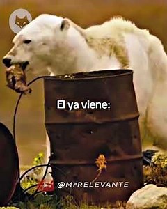 HE'S COMING... ☄️ #mrrelevant #popculture #epicmoments C: naty._mati
