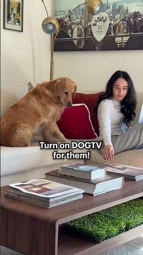 Got a busy day? 🐶 Keep your pup happy, calm, and entertained with DOGTV!