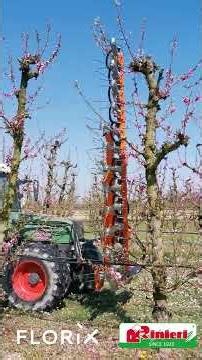 Mechanical Flower Thinner for Orchards - FLORIX RINIERI