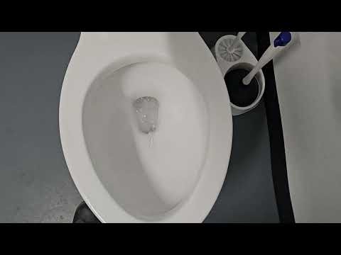 Dollar General Unisex Restroom in Ault, CO