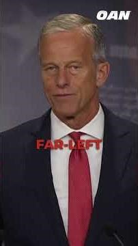 The Democratic caucus here in town, in the Senate, has chosen to shut down the government