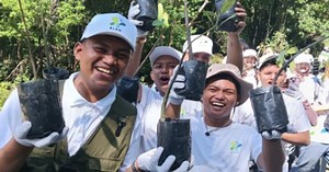 Belia tanam 1,122 pokok bakau, ALAM Be-Leaf BPMB lindungi pesisir negara | Berita Harian