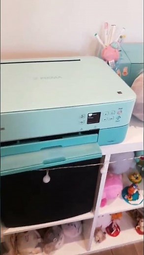 How to use the cassette on the canon pixma TS5320