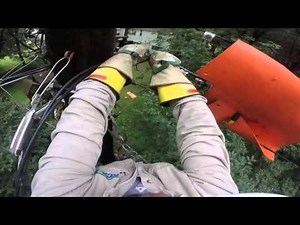 Restored Customer Connection