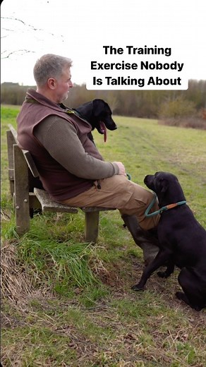 37K views · 339 reactions | Does your dog know how to be bored❓ Or,...