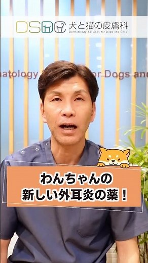 【犬と猫の皮膚科】日本初！抗菌薬と抗真菌薬を含まない、犬用点耳薬！犬の外耳炎治療のためのスプレー式ステロイド外用薬 コルトティック 皮膚科専門医が詳しく解説します。Part2【皮膚科専門医】