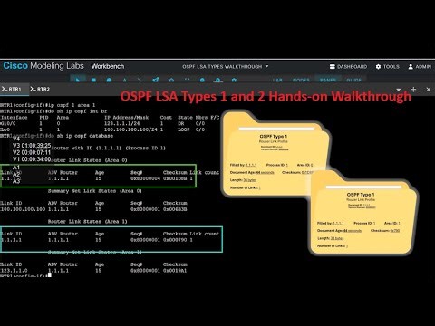 Enterprise OSPF LSA (1/2) Technical Walkthrough