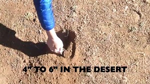 26K views · 238 reactions | Do you know how to poop in the woods? #LeaveNoTrace ZEROGRAM https://lnt.org/blog/how-poop-woods | Leave No Trace | Facebook