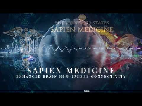 Enhanced Brain Hemisphere Connectivity by Sapien Medicine
