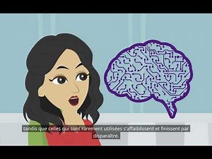 Plasticité cérébrale (psychologie fondamentale : plasticité cérébrale et récupération fonctionnelle)