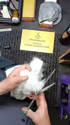 Testing Grooming Shears After Sharpening