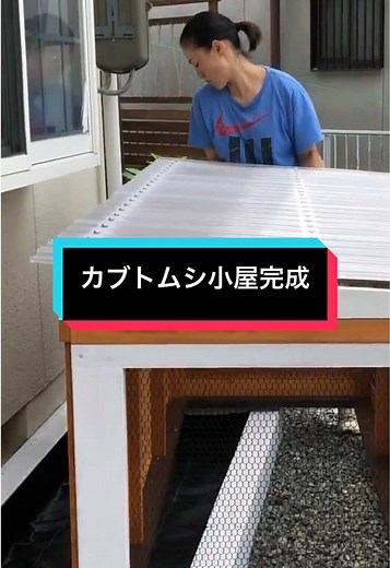 カブトムシ小屋の作り方と育て方最終章