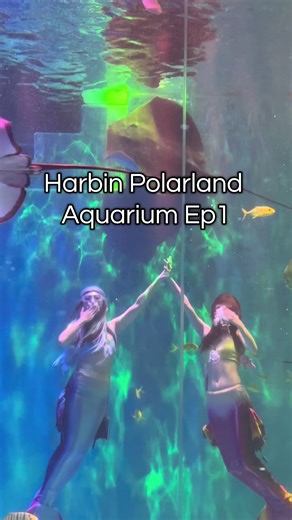 #Harbin Polarland Aquarium #Harbin #Aquarium #China #ต้องมา