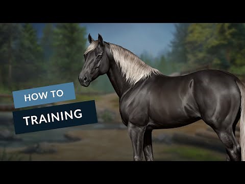 Horse Reality - Beginner's Guide #7 - Training