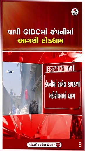 Vapi | વાપી GIDCમાં કંપનીમાં આગથી દોડધામ | Gujarat | Sandesh News
