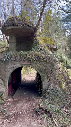 704K views · 12K reactions | Abandoned amusement park in the Netherlands March 2025 | lost-in-time-ue.nl | Facebook