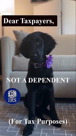 IRS Tax Tips