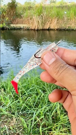 How Experienced Anglers Attach Bait for Better Hook-Ups👍👍 #fishing #bassfishing #fishingtips