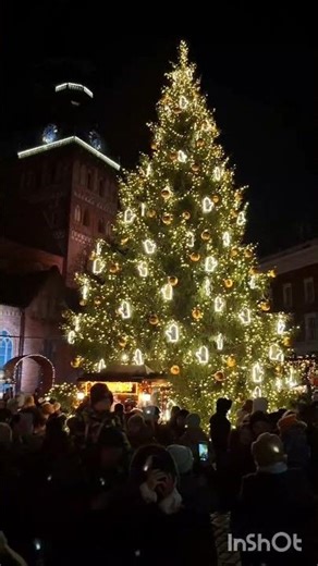 Europ Latvia christmas celebration.