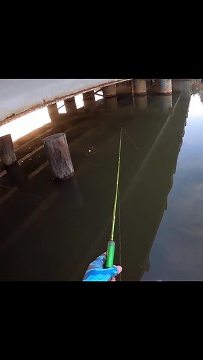 Jig & Bobber For Crappie #903fishing #crappiefishing #crappiefishin #crappie #crappiecrazy #whitecrappie #followme #crappielife #crappiefishingfools #crappies #crappieslayer #crappiecrazycom #crappienation #crappiemaster #fishingislife #fishinglife #youtuber #subscribetomyyoutubechannel #fishing #fishingaddict #fishing🎣 #fishingdaily #fishingtime #fishingtexas #texasfishing | 903 Fishing