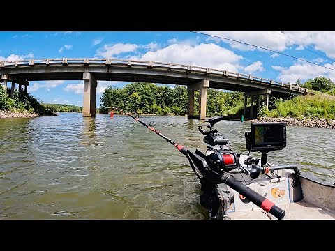 The World Record Blue Catfish Was Caught Here