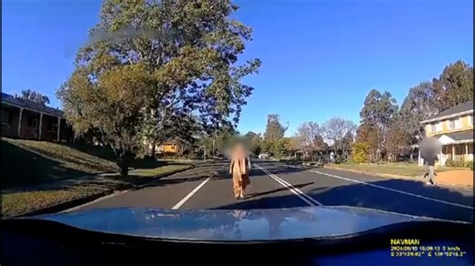 Dashcam exposes suspected 'insurance fraudsters'