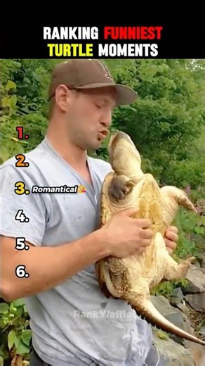 Ranking Funniest Turtle Moments😭🐢