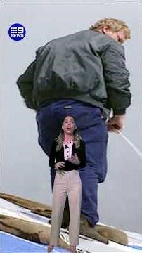 Do you remember this expensive natural disaster? | 9 News Australia