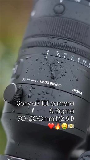 MOHAMED99🎖️ on Instagram: "Sony a7 III camera & Sigma 70-200mm f/2.8 DG OS HSM Sports Lens photography 8k#photographer #video #sony#a7#camara"