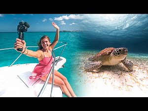 How Cinematic Can GoPro HERO10 Be? In The Bahamas...