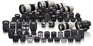 Great for Wildlife Video and Still Shooters: Sony to Add 12 New E-Mount Lenses & Animal Eye AF to Alpha Universe