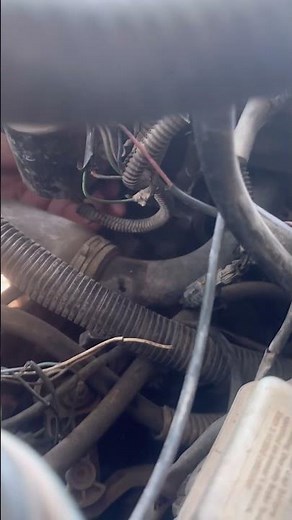 The mango lost its temperature