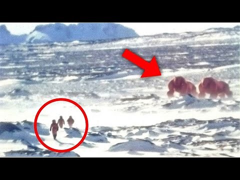 90 Year Old Footage From Beyond The Ice Wall of Antarctica SCARES The Entire World