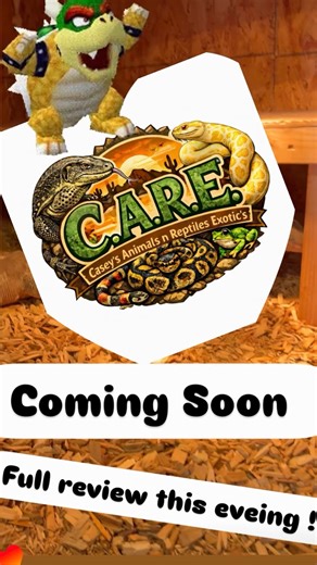 Meet Bowzer my Male Sulfur Water Monitor ALMOST 6 ft !! ..#varanussalvator #asianwatermontior #reptiles #dreamsdocometrue❤️ | Casey Canning