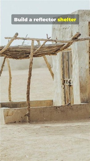 Desert Oasis: 5 Tricks to Stay Alive Fast