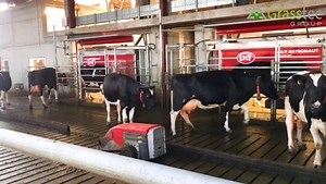 2.5K views · 67 reactions | Lely Discovery keeping this setup spotless.  | Grasstec | Facebook