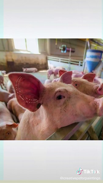 Peppa Pig Front View Realistic Painting Revealed