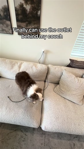 Maximize Your Space with Outlet Extenders