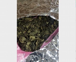 6.8 tons of illegal drug Khat worth $3.8M seized at Port Newark, feds say