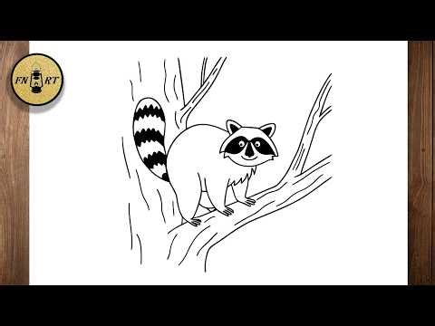 How to draw a raccoon in a tree step by step easy