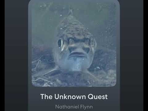 The Unknown Quest- alien_twiggyTurnip 2:10/13