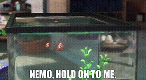 9f4a0aa8-a24f-4c84-974f-291d7ae09c4d