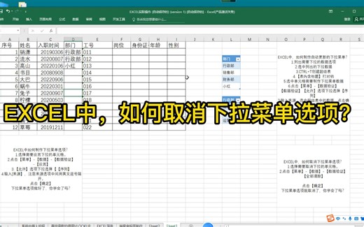 EXCEL中，如何取消下拉菜单选项？