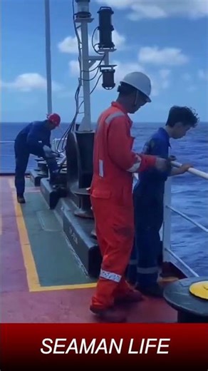 Behind the Scenes: What a Seaman Really Does All Day Aboard a Cargo Ship