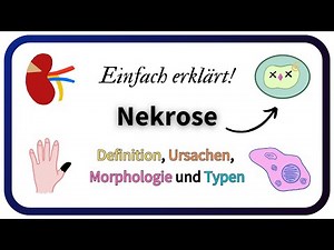Nekrose – Zellschädigung und Zelltod | Einfach erklärt!