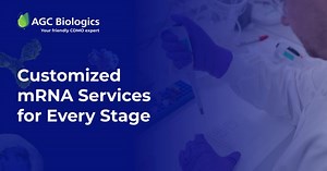 𝗺𝗥𝗡𝗔 𝗺𝗮𝗻𝘂𝗳𝗮𝗰𝘁𝘂𝗿𝗶𝗻𝗴 𝗲𝘅𝗽𝗲𝗿𝘁𝗶𝘀𝗲 𝗳𝗼𝗿 𝗻𝗲𝘅𝘁-𝗴𝗲𝗻𝗲𝗿𝗮𝘁𝗶𝗼𝗻 𝘁𝗵𝗲𝗿𝗮𝗽𝗲𝘂𝘁𝗶𝗰𝘀 AGC Biologics' mRNA services are built on 30 years of microbial, drug substance, and plasmid DNA manufacturing experience and comprehensive technical capabilities: • 𝗙𝘂𝗹𝗹-𝗦𝗲𝗿𝘃𝗶𝗰𝗲 𝗣𝗹𝗮𝘁𝗳𝗼𝗿𝗺: Fermentation, biocatalysis, in vitro transcription, and multiple purification options • 𝗔𝗻𝗮𝗹𝘆𝘁𝗶𝗰𝗮𝗹 𝗘𝘅𝗰𝗲𝗹𝗹𝗲𝗻𝗰𝗲: Extensive in-house characterization and stab