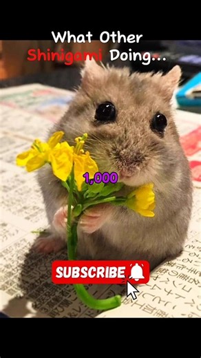 Shinigami's Life In Death Note... 🤯🤯 #anime #shorts