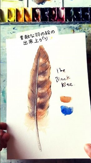 How to draw feathers with watercolors and a millimeter pen ✨ #TransparentWatercolor #HowToDraw #W...