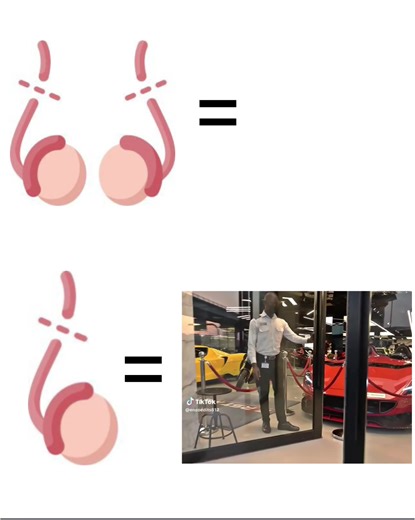 Money Talks: A Fun Look at Luxury Cars